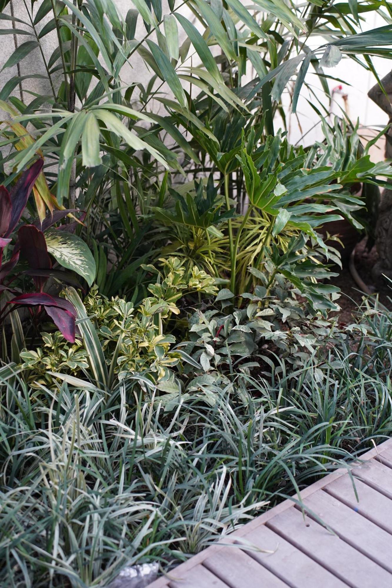 Hotel Unagi Mas By Emana Ubud